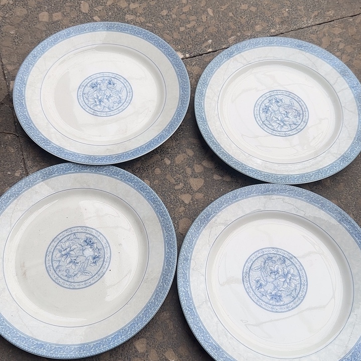 瓷片陶瓷盘子碗啥都有