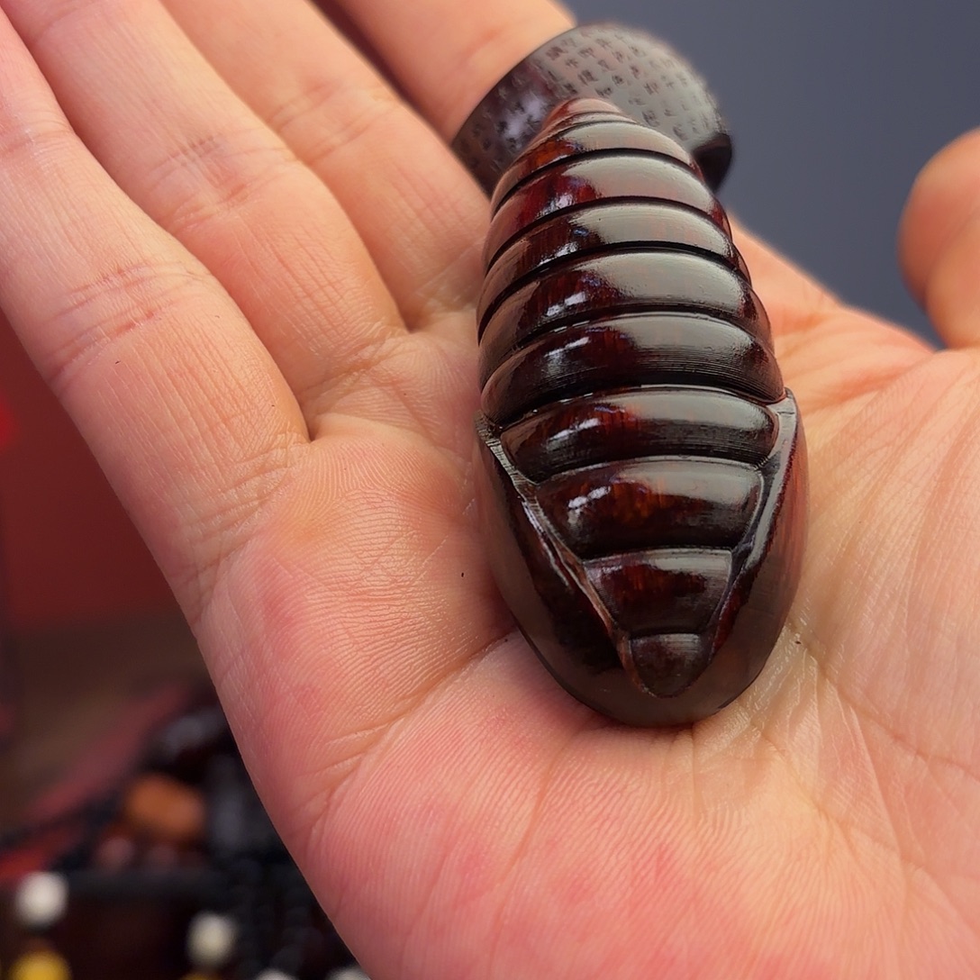 檀香紫檀（小叶紫檀）蛹