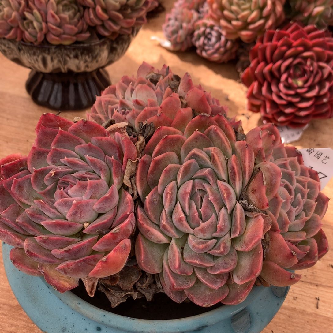 6417新年快乐发发发