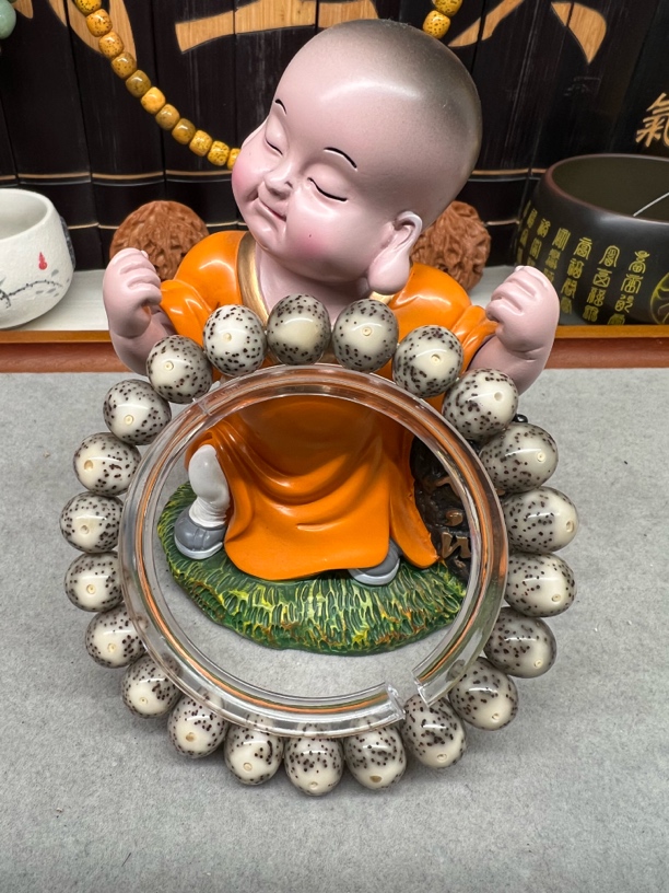 12大眼睛苹果海南原生态星月菩提