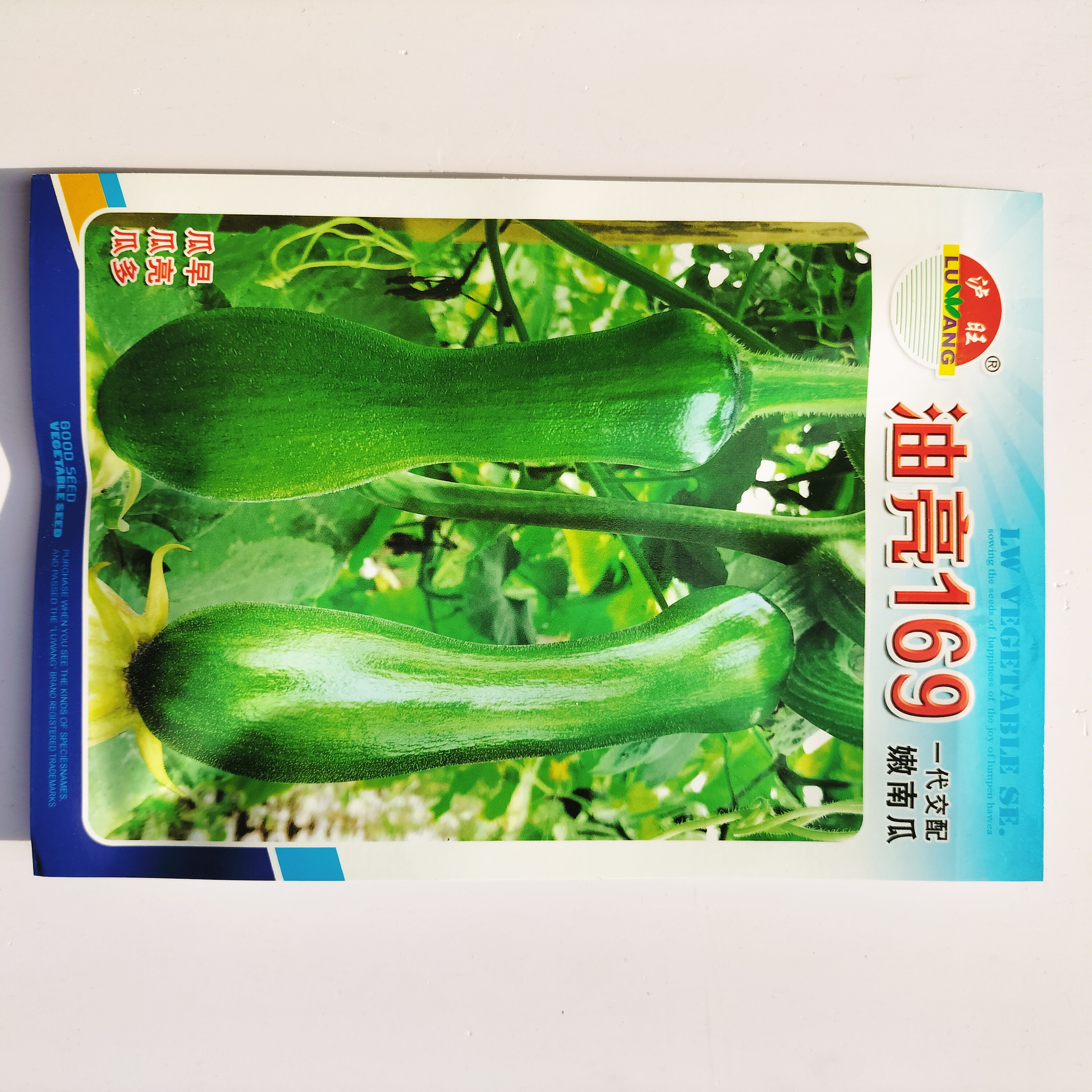 早熟油亮169嫩南瓜种子 雌花多高产鲜嫩好吃老瓜嫩瓜南瓜种籽农家