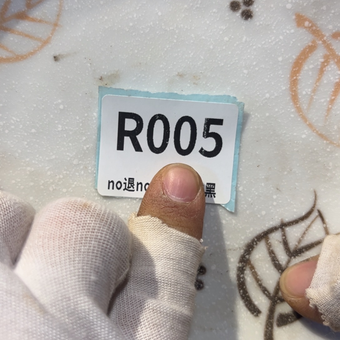 中***龙陶瓷直播链接火爆热卖热卖