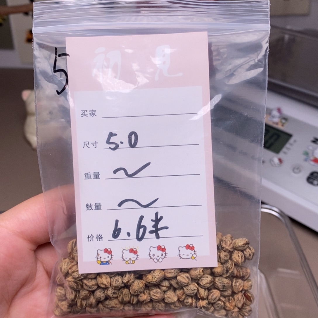 柏香籽/百香籽吊坠