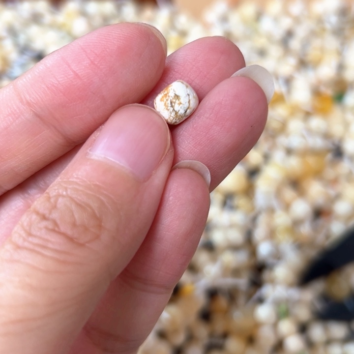 裸石蜜蜡未镶嵌7.5mm一个