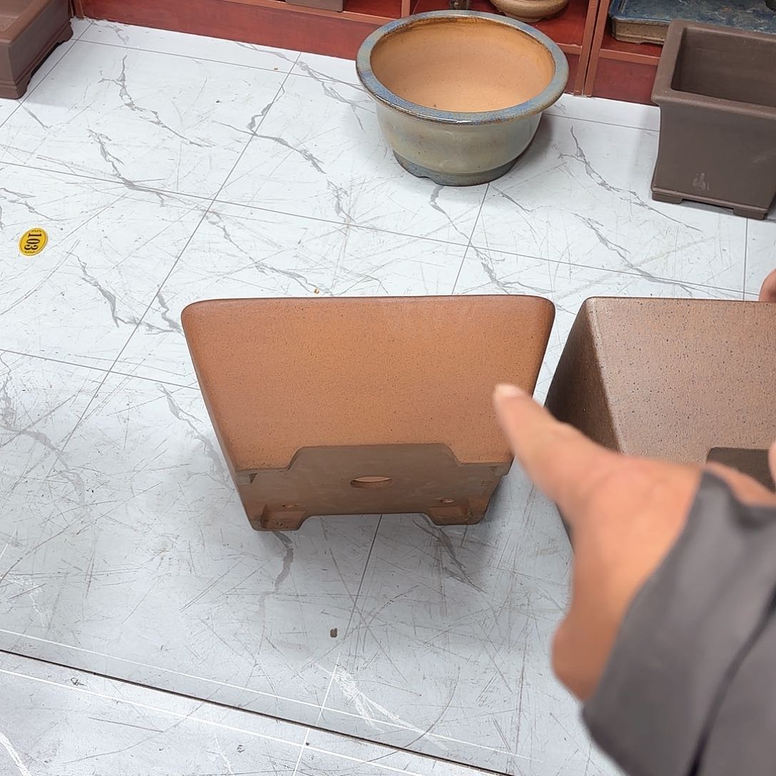 紫砂花盆阳****民紫砂的花也太