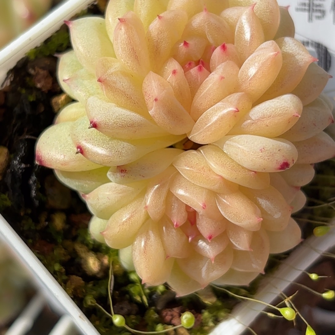 043放在一起就可以啦哈哈我的