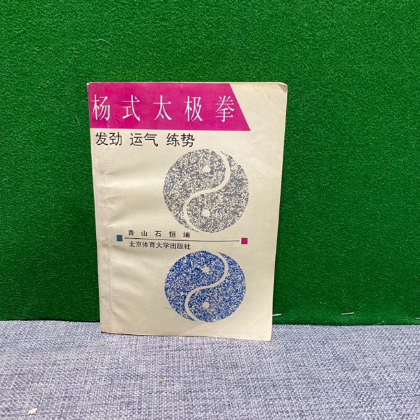 8新  杨式太极拳 1996 lw12