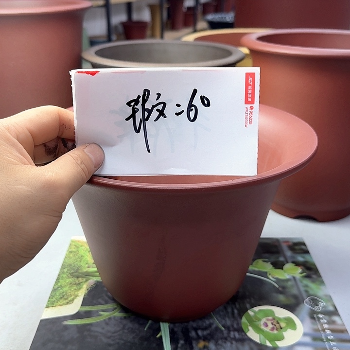 春秋花盆精品兰花盆