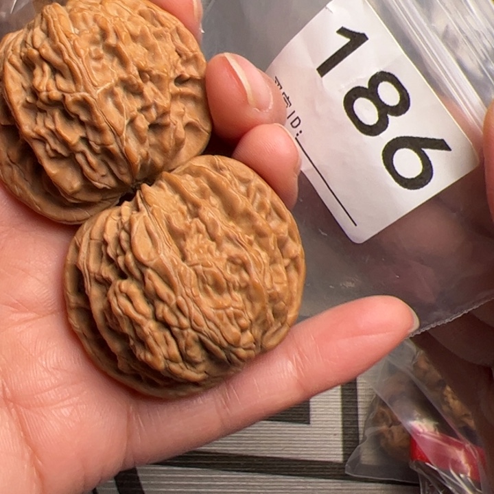 核桃正磨186号全品41尺