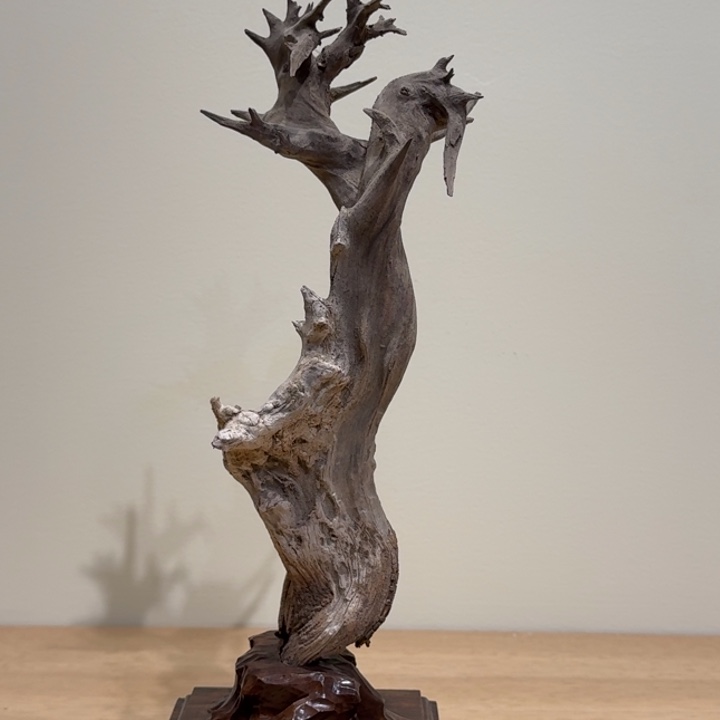 笑***路柏木嗯……嗯……那就是说他