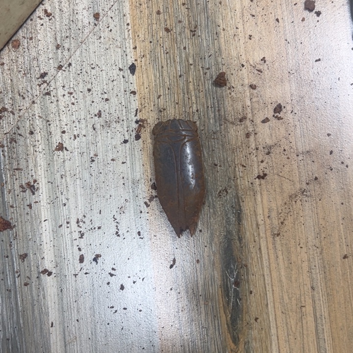 和田玉（青玉）未镶嵌挂件