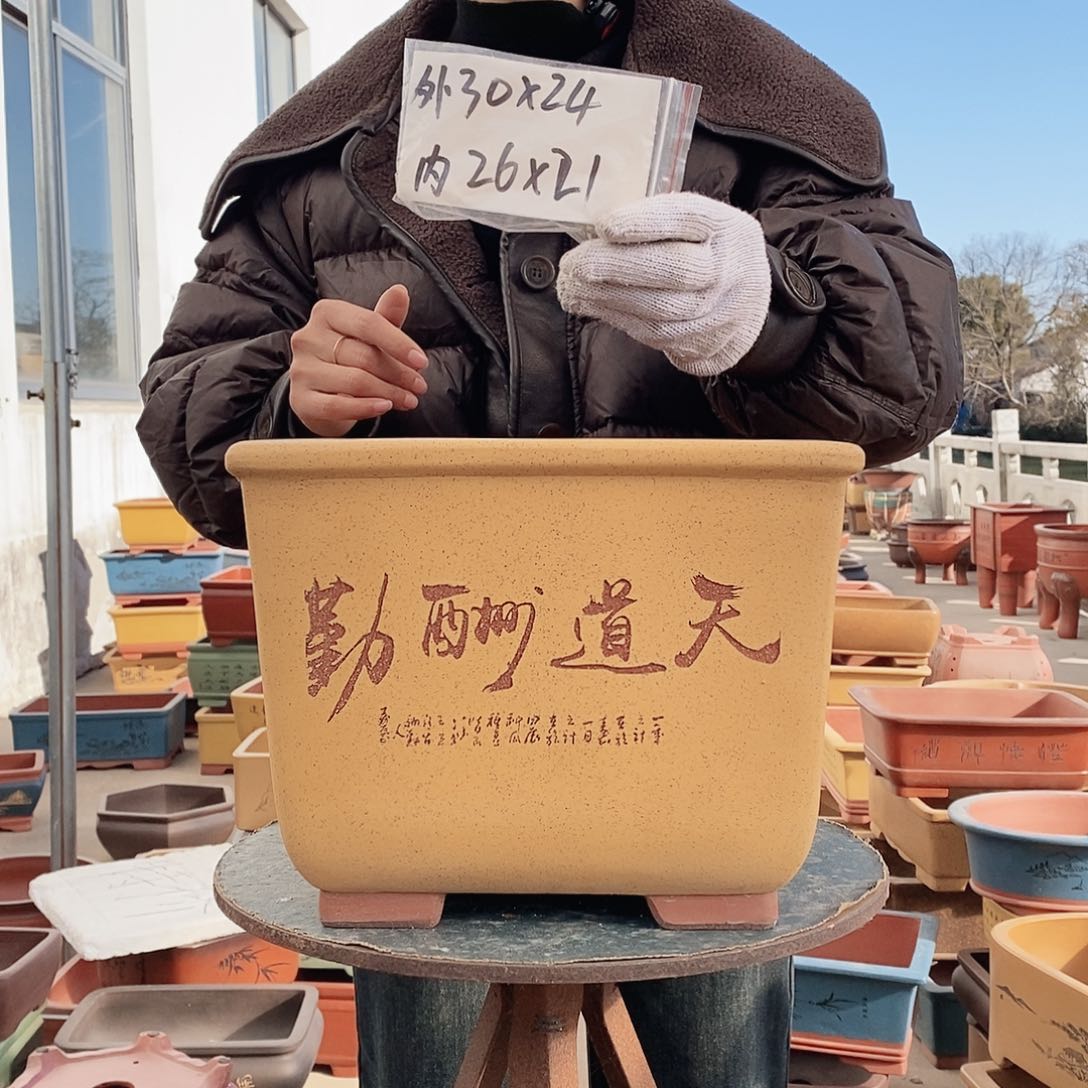 紫砂花盆紫砂花盆