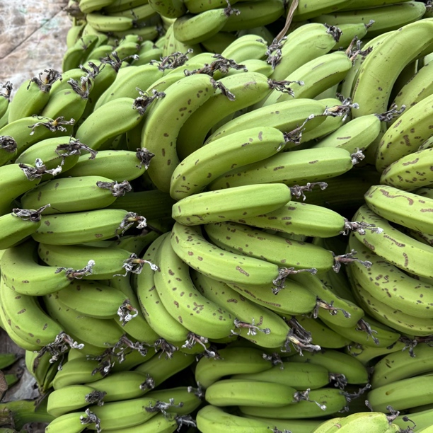 【云货心选】农家自种芝麻香蕉5斤