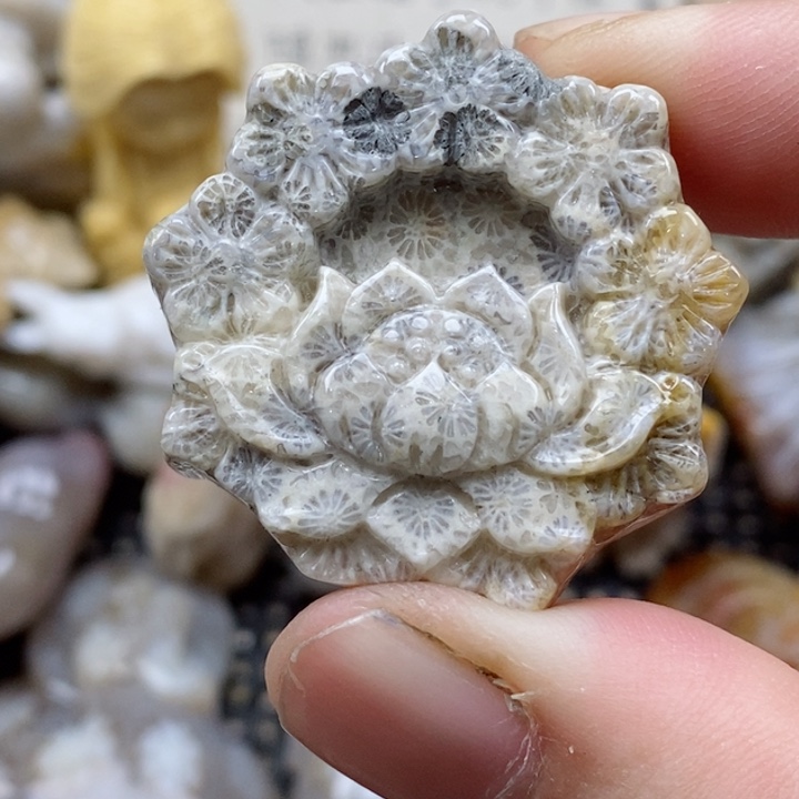 颈饰未镶嵌硅化珊瑚（珊瑚玉）有瑕 小