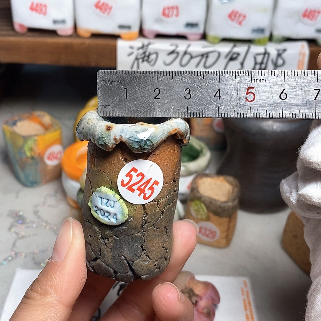 红陶拍5送一个小