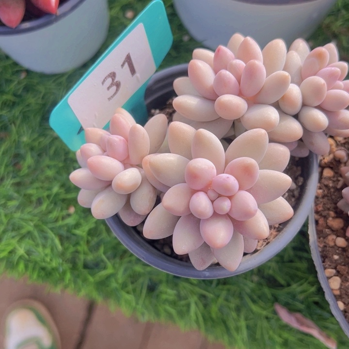 健健康康平平安安