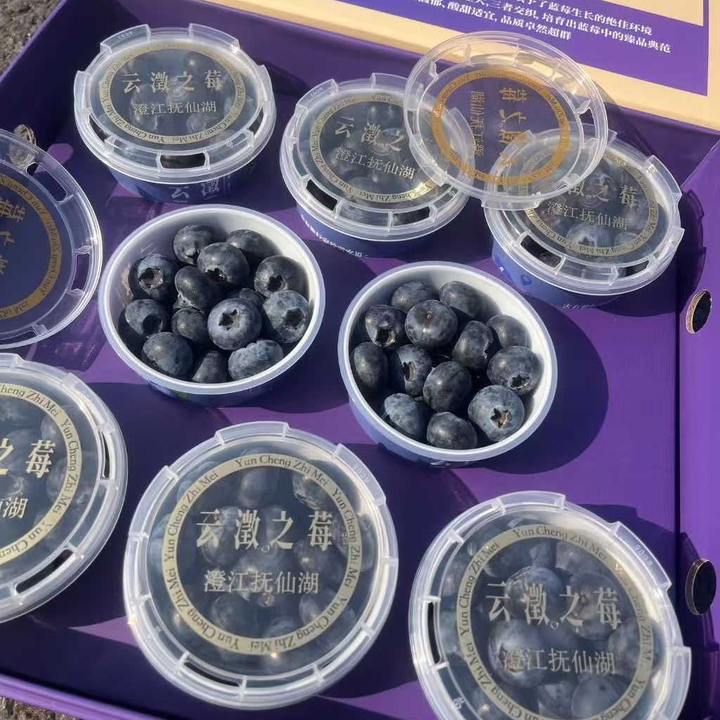 云之澂莓 蓝莓杯蓝莓20mm 8杯*100g礼盒装云南省新鲜云南省