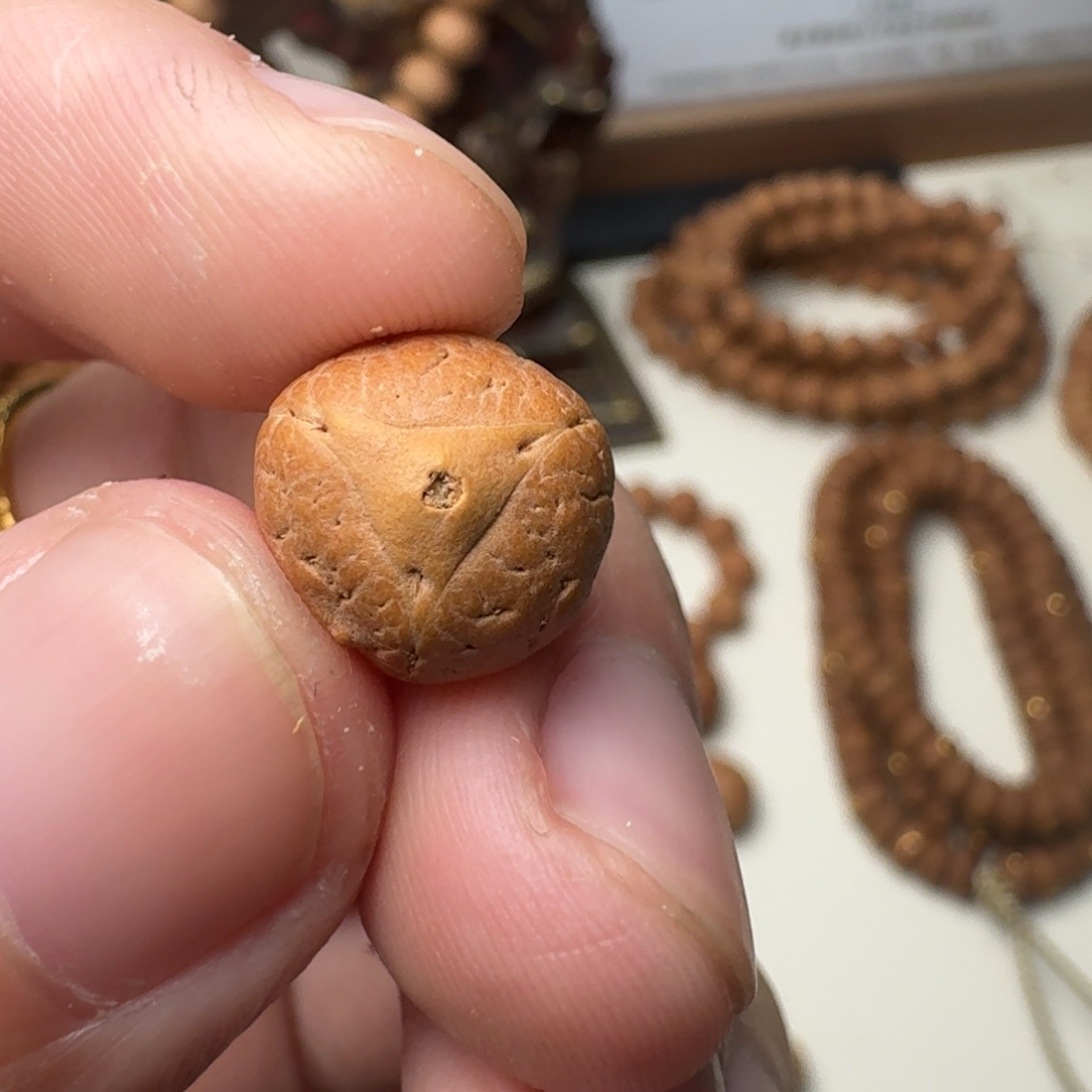 ㋡***㋡吊坠凤眼菩提实心龙