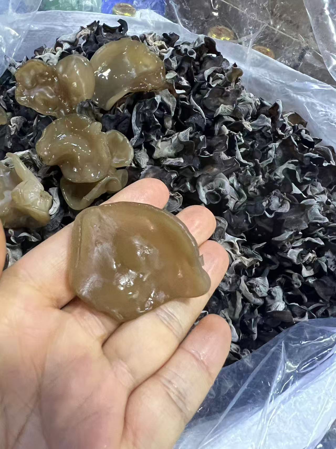 东北柞木段木耳口感软糯Q弹山区特产野外生长自然晾晒