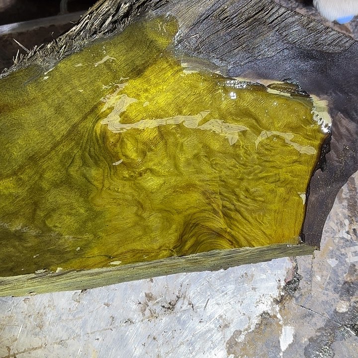 绿***洲啊啊啊啊啊啊啊啊啊啊