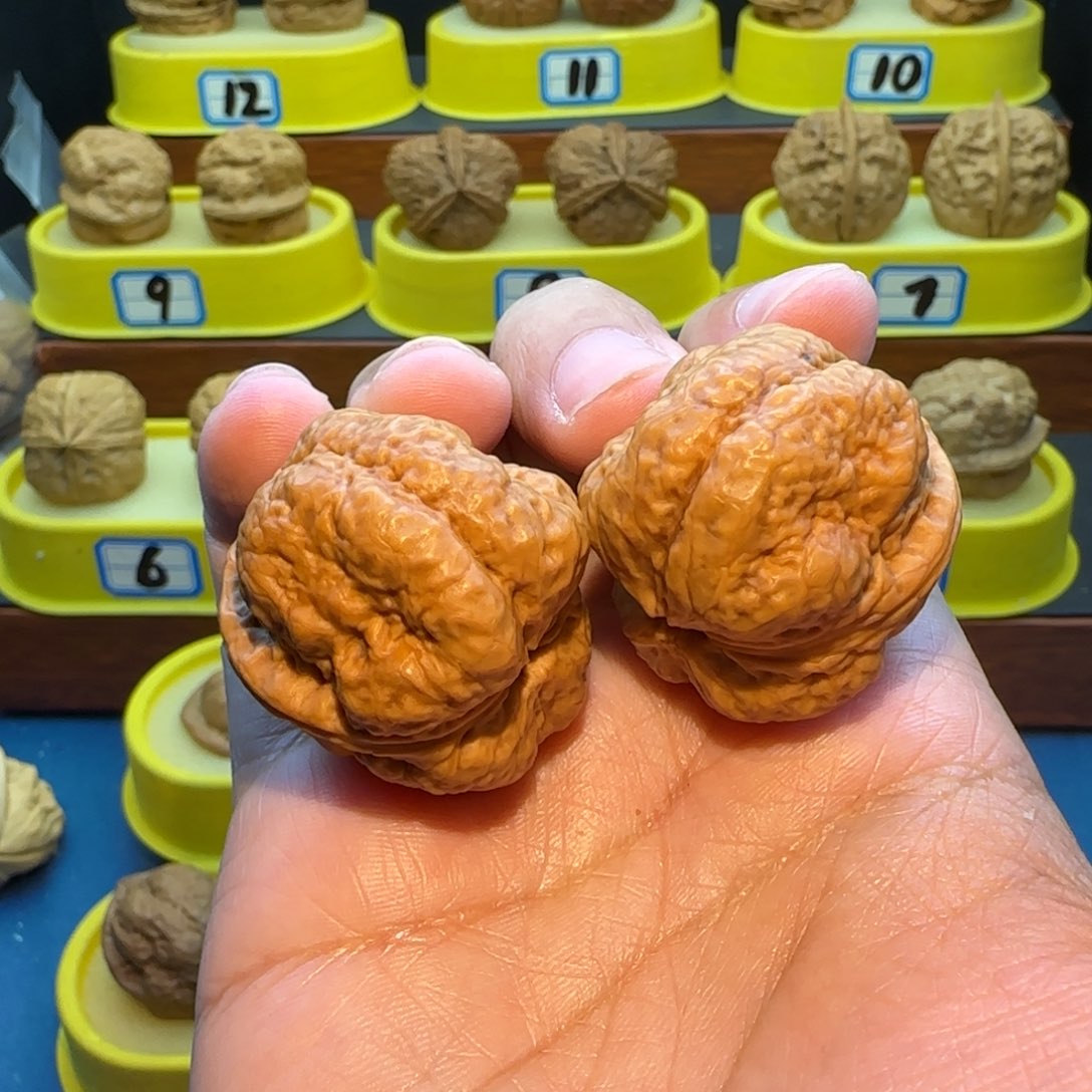 明***桃核把件大羊头蟾
