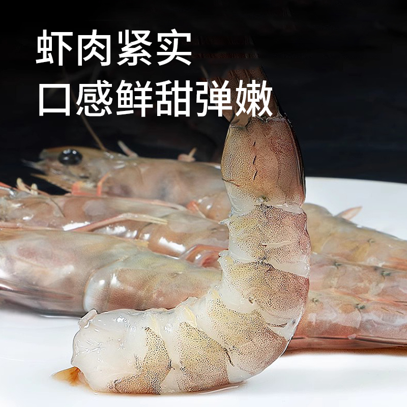 【野生黄虾】 青岛沙子口港本地大虾14头左右  顺丰发货