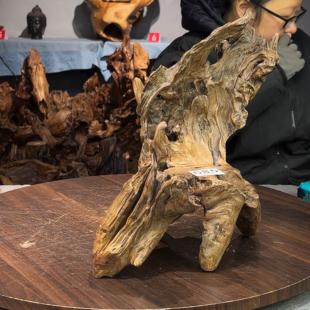 香杉木坛**仙685gghhhhuuiii