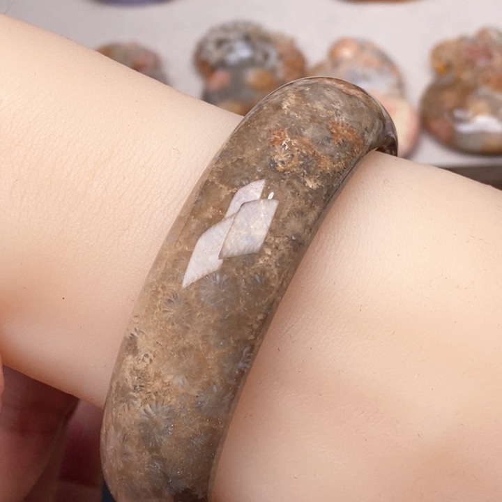 硅化珊瑚（珊瑚玉）手镯未镶嵌62