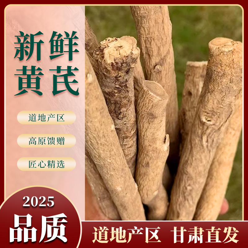 【新鲜黄芪】现挖现发甘肃产地直发可泡水煲汤炖肉滋补搭配党参