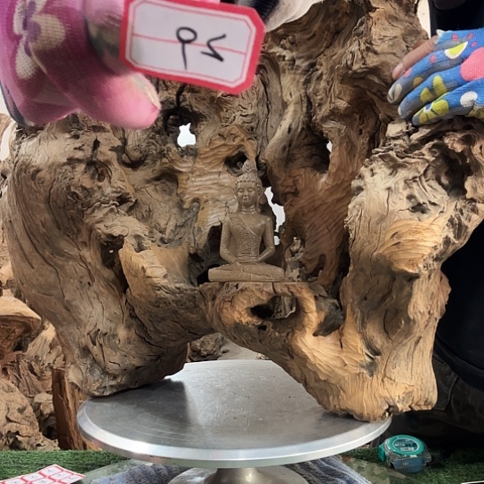 梦*蓝紫砂噜啦啦啦啦啦啦