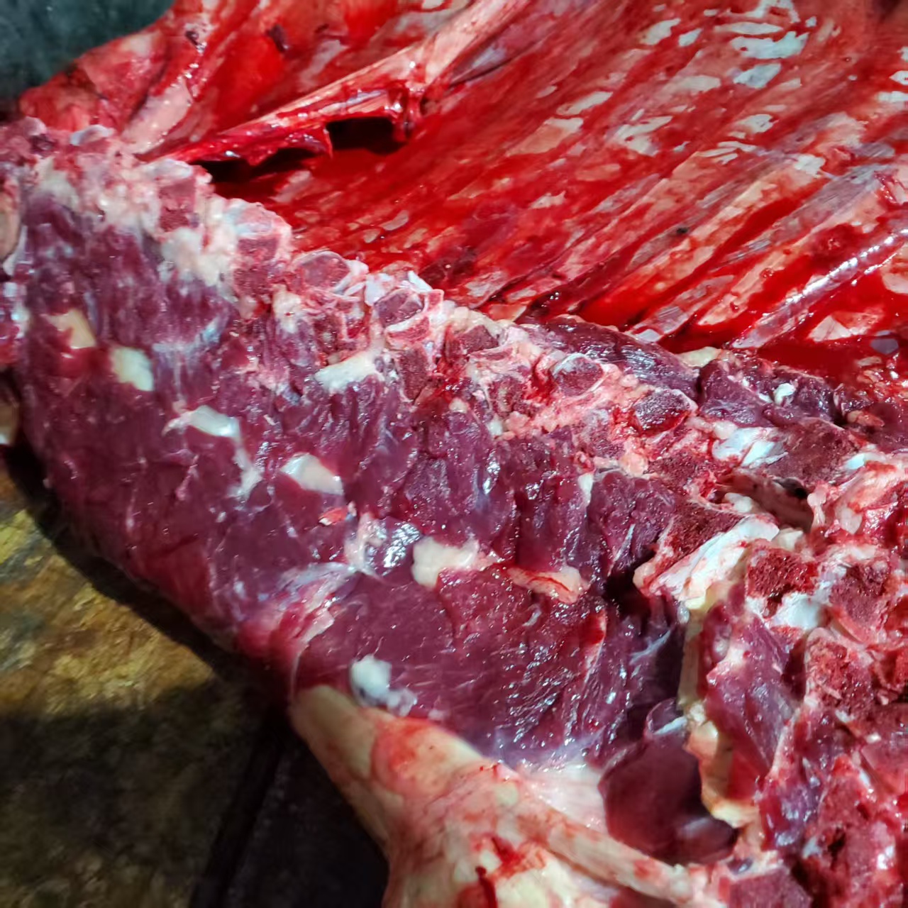 [顺丰包邮湘]  直播现称乡里吃草山里土牛黄牛肉牛排牛腩牛肚