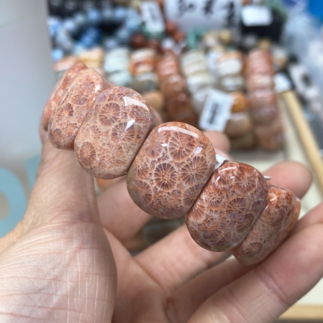 硅化珊瑚（珊瑚玉）手链未镶嵌霸*074