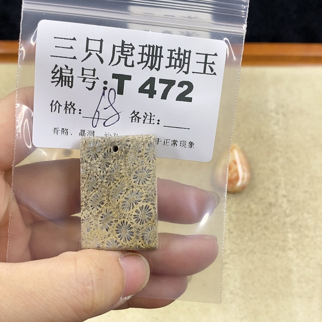 硅化珊瑚（珊瑚玉）1未镶嵌粉**D