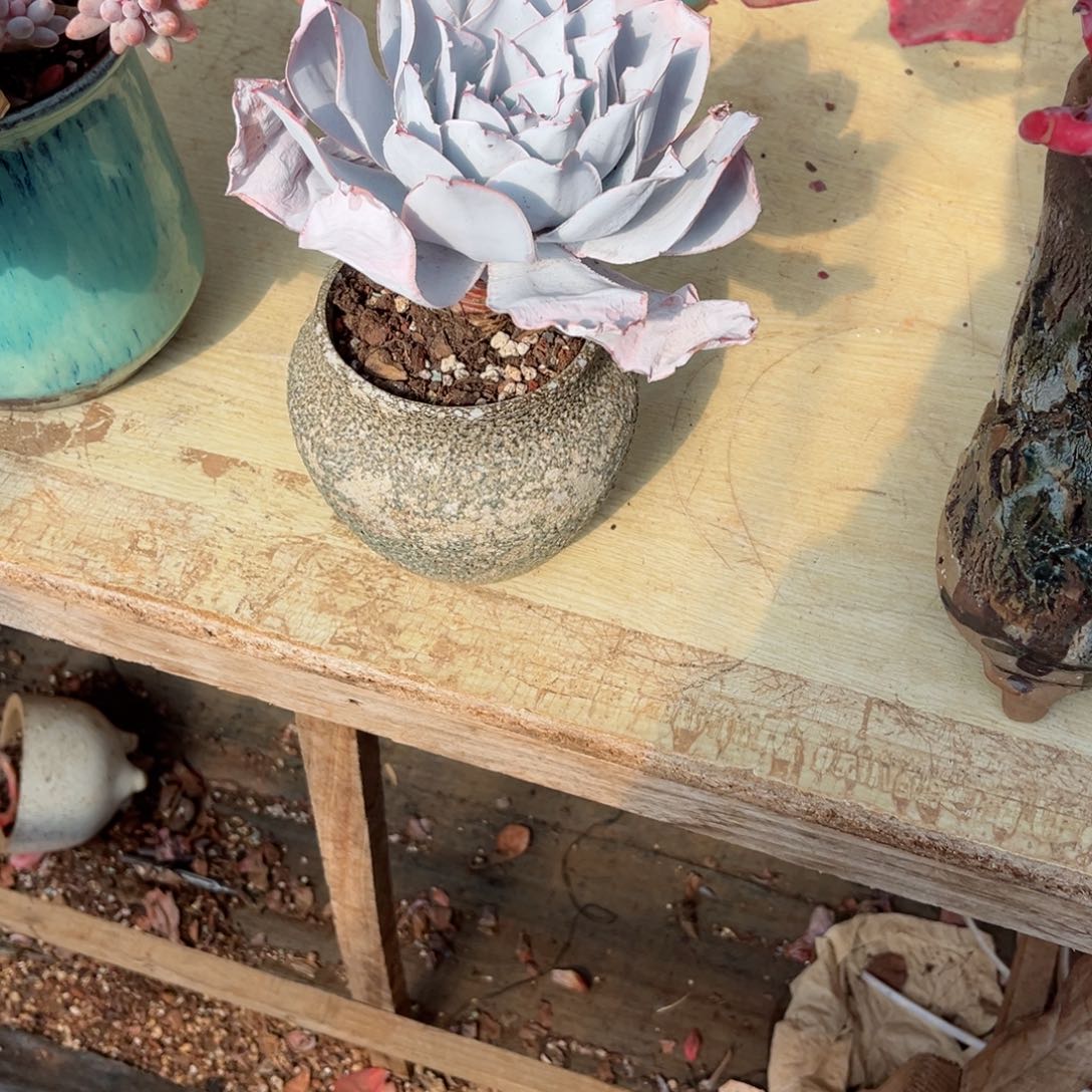 你是否有一．．．我所知最美不过