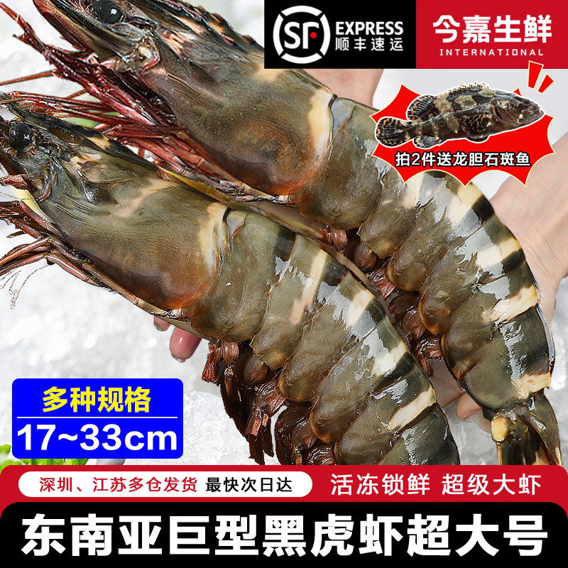 今嘉东南亚新鲜活冻黑虎虾 进口大虾1000g 速冻生鲜 海鲜火锅美食