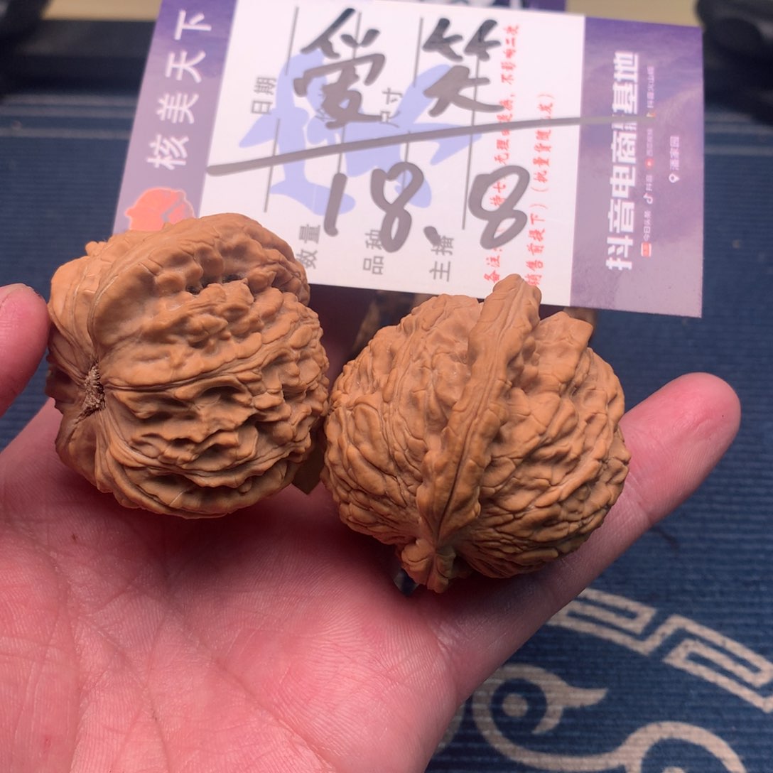 爱***孩白狮子58685555585