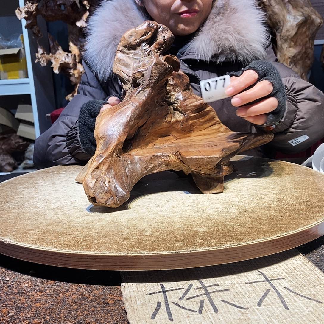 龙***下077。株木随行根艺