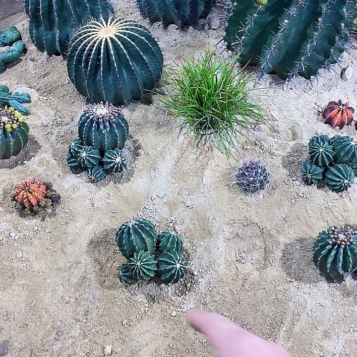 谢****镜00000000000000000000000