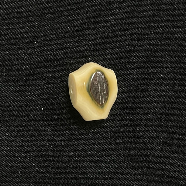 DS315 蓝眼鲨鱼背三通 只做天然猛犸牙