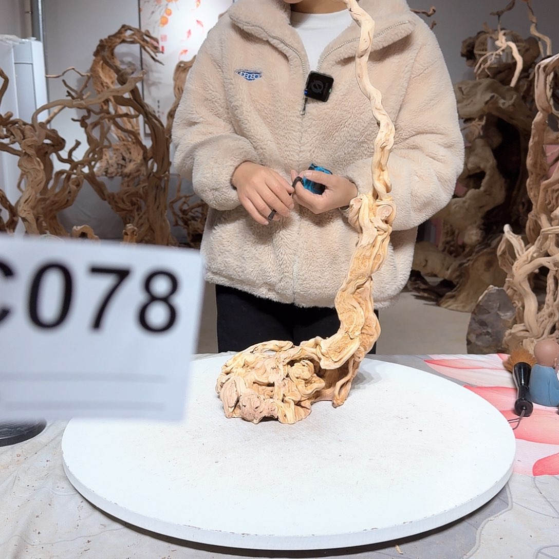 风车木（黑檀木）?*