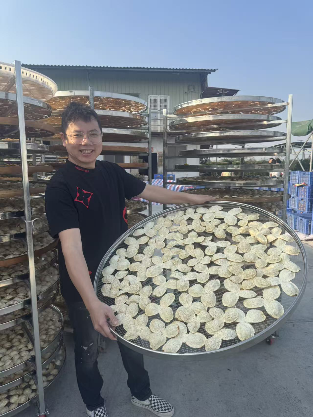 【宽少甄选】新会小冈老树大红皮          桃胶