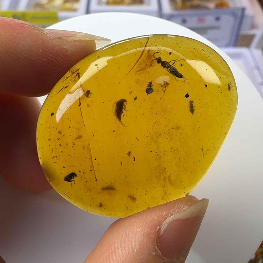 琥珀裸石未镶嵌家**宝蜂