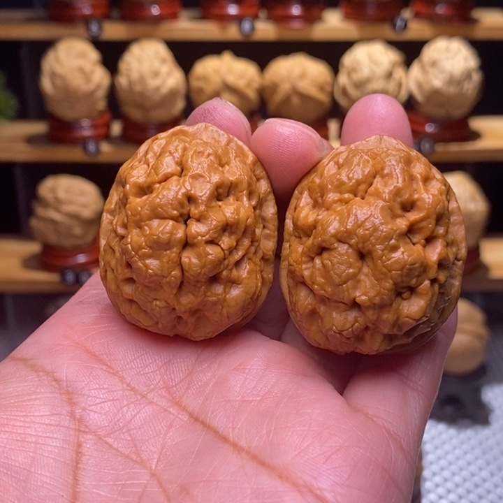 和***伍木质类云铁凤眼118号