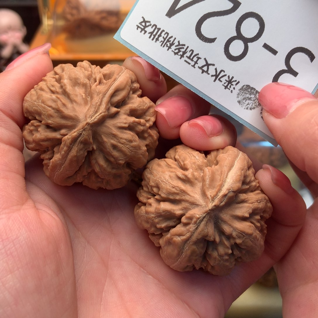 文玩核桃把件41霸王龙