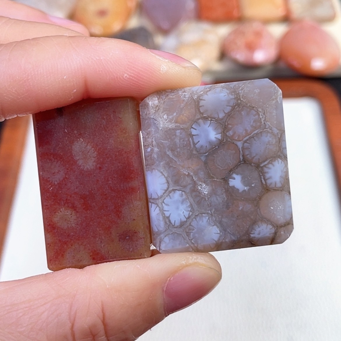 【闪购商品】硅化玉吊坠(赠链)未镶嵌海*