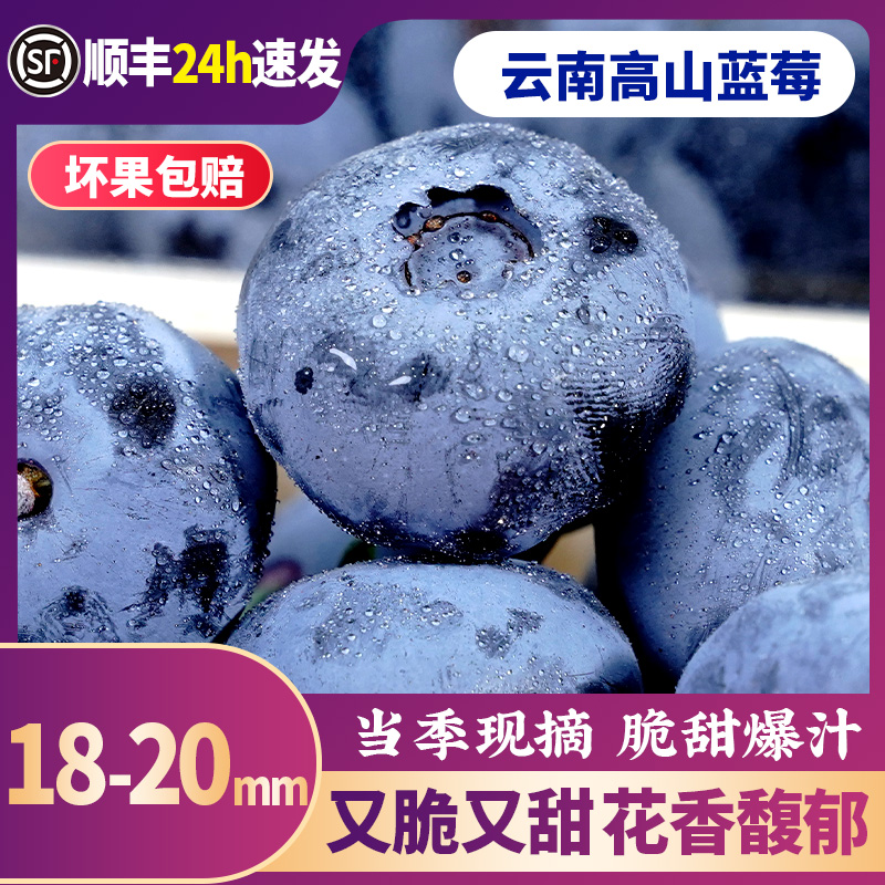 【18-20mm】云南蓝莓鲜果特大当季高山花香新鲜水果大果怡颗蓝莓