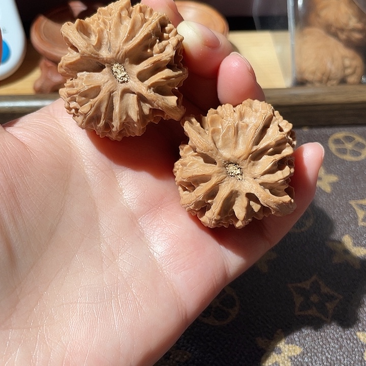 大叶紫檀（黑酸枝木类）苹果园