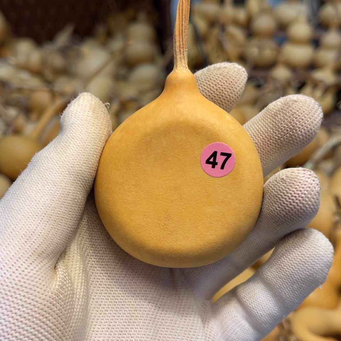 闪拍葫芦链接-47号品