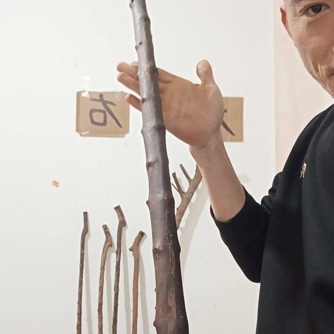 原木直播精品原木
