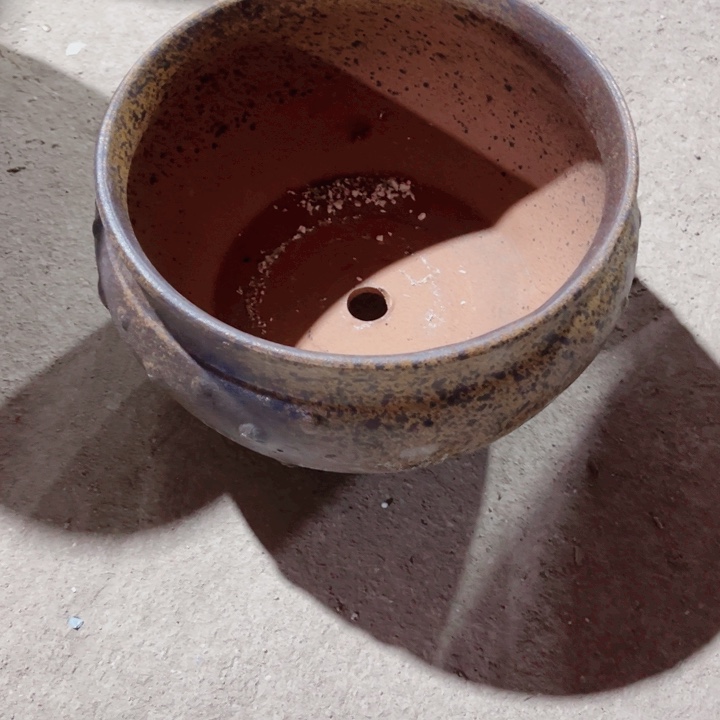 紫砂口径24高度16一只